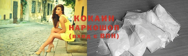 амф Елизово
