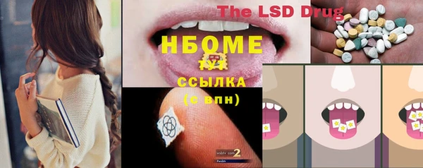 мдпв Ельня