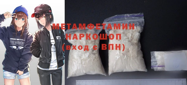мдпв Ельня