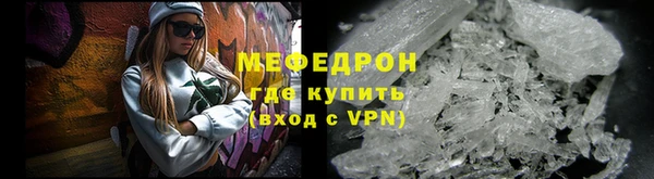 мдпв Ельня