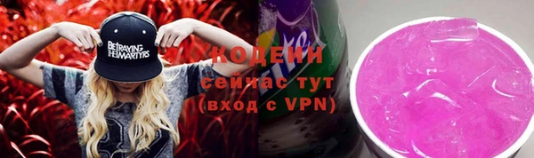 мдпв Ельня