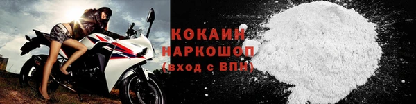 мдпв Елабуга