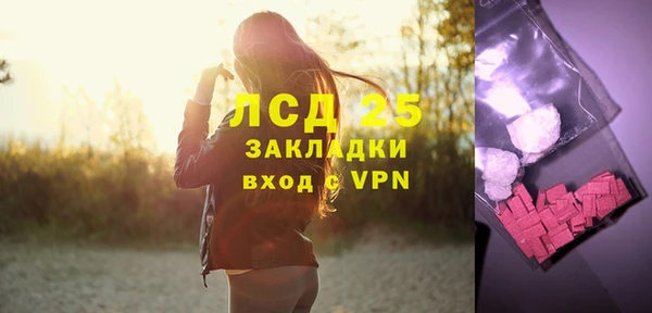 мдпв Елабуга