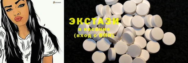мдпв Елабуга