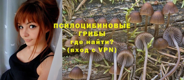 мдпв Ельня