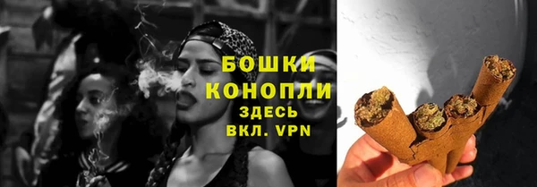 мдпв Елабуга