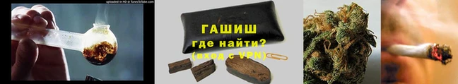 мдпв Ельня