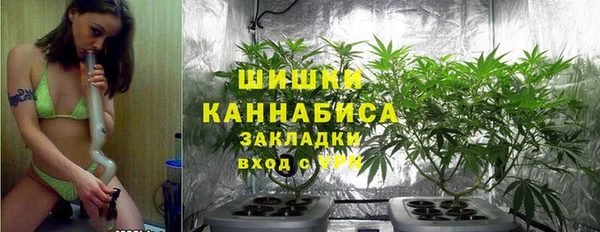 мдпв Ельня