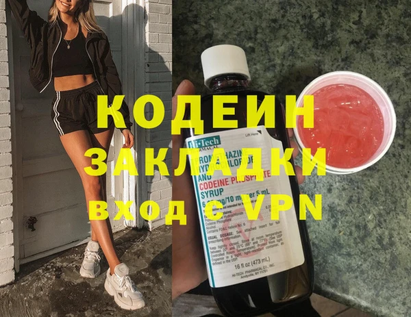 амф Елизово
