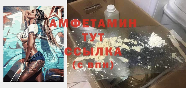 мдпв Елабуга