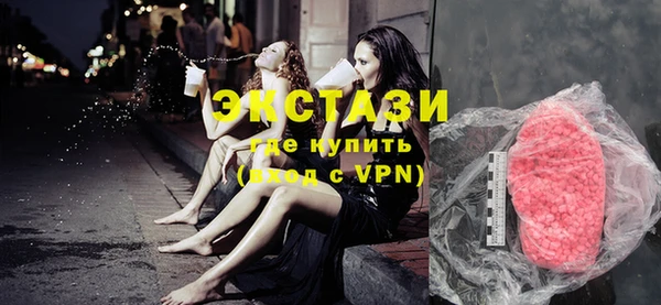 мдпв Ельня