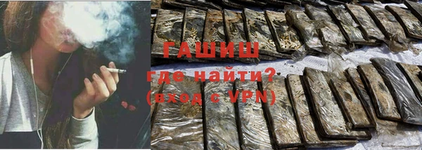 мдпв Елабуга