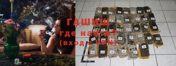 мдпв Елабуга
