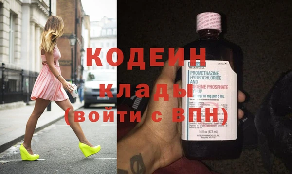 мдпв Ельня