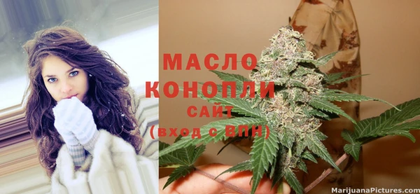 амф Елизово