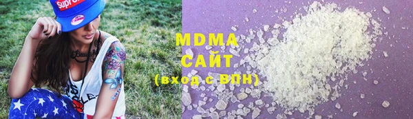 мдпв Ельня