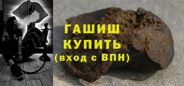 мдпв Ельня