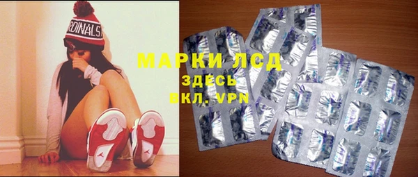 мдпв Елабуга