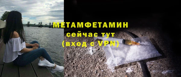 мдпв Ельня