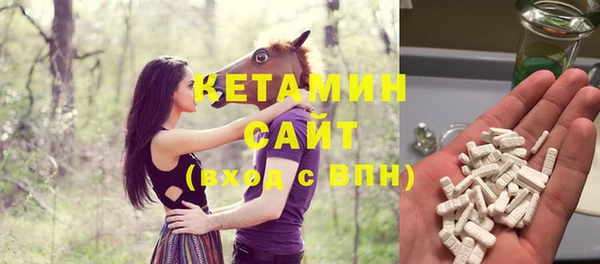 мдпв Ельня