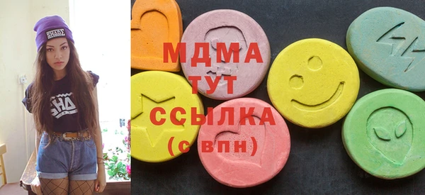 мдпв Ельня