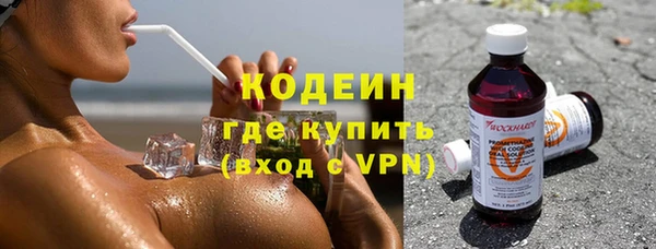 амф Елизово