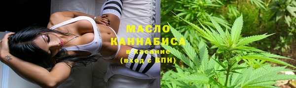мдпв Елабуга