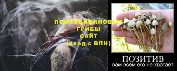 мдпв Елабуга