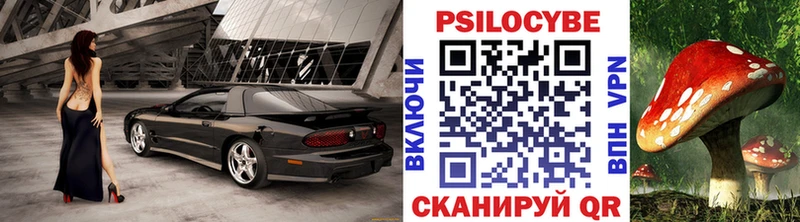 купить наркоту  МЕГА ТОР  Псилоцибиновые грибы мицелий  Ачхой-Мартан 